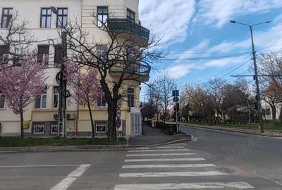 Apartament cu 3 camere semidecomandat, mobilat în Fabric - 2