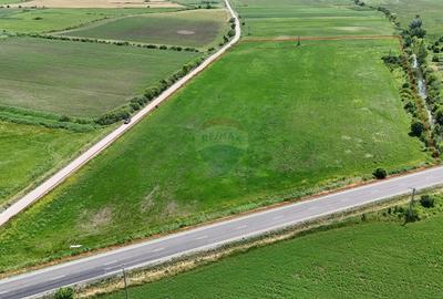 DN11 | 45.000 mp industrial | Front 155 ml | PUZ aprobat | UAT Prejmer - 8