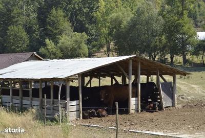 Spațiu comercial, de 1,887 mp, în Glâmbocel - 11