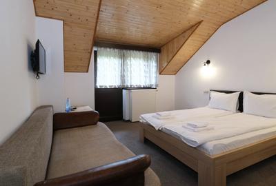 Vanzare pensiune noua complet functionala superba Prahova padure priveliste - 8