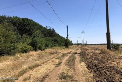 Moara Vlasiei - langa Padurea Biglaru, 11.884 mp, deschidere 40 ml! - 1