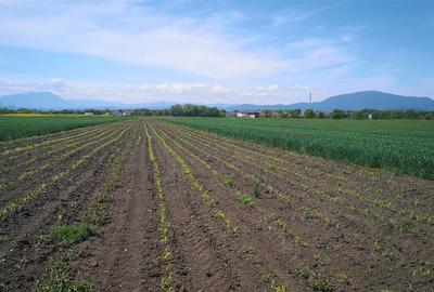 Teren  Zona Stupini Merilor  1693 Mp Intravilan - 4