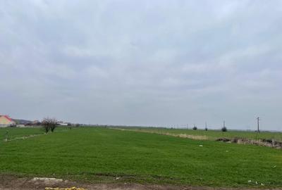 Teren Bolintin Deal 2000 mp New 2026 - 5