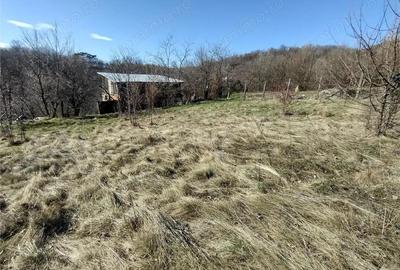 Teren de 2500 mp, în Vest - 20