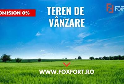 Teren de 9900 mp, în Săcălaz - 1