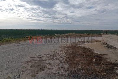 Ferma Agricolă 1.350 Hectare – Grad de Comasare 96–97%, Chișineu Criș, Ju - 11