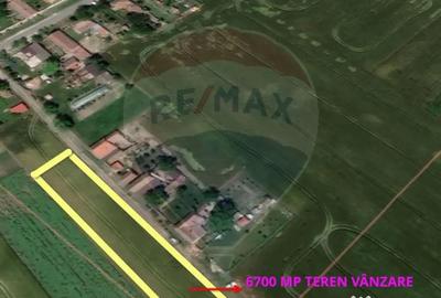 Teren de 6700 mp, în Variașu Mare - 4