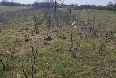 Teren de 720 mp, în Central