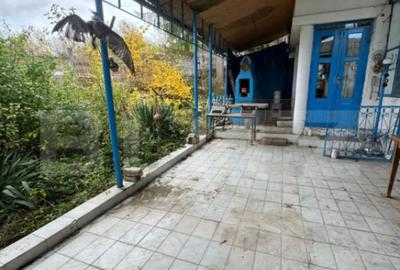 Casă cu 4 camere cu Teren 1488 Mp în Pestișu Mic - 8