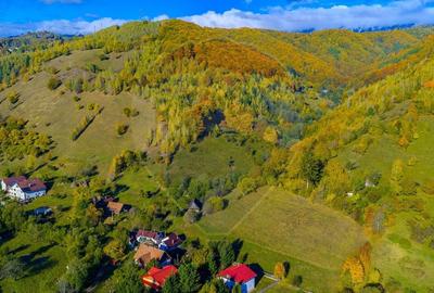 COMISION 0% Teren 11,381 mp Moieciu de Jos / Oportunitate unica - 6