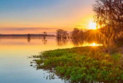 Teren de 5000 mp, în Sisești - 2