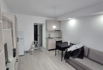 Garsonieră semidecomandată, mobilată în Ozana - 3