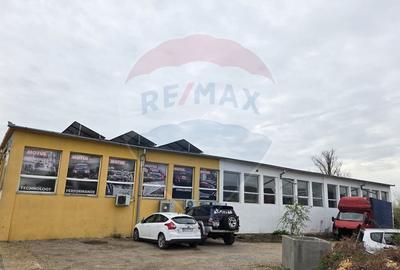 Hala de caramida 500 mp. - 2