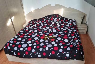 NICOLINA, Apartament 1 camera, dormitor + living, 35 mp - 3