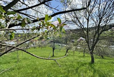 Teren Albesti Arges - Ultracentral Teren Albesti Arges - Ultracentral - 2