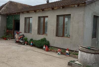 Casa de vanzare in Gurbediu jud Bihor - 8