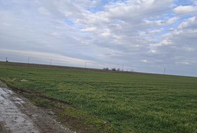 Teren de 3125 mp, în Corbu