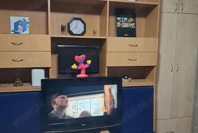 Garsonieră decomandată în Podgoria - 1