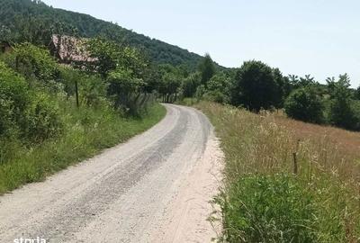 Teren de 2500 mp, în Central - 4