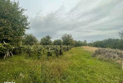 Casă cu 2 camere în Lipău - 7