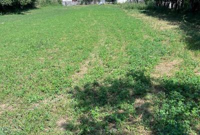 Teren de 3026 mp, în Gârcina - 3