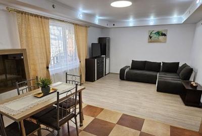 Aparatorii patriei comisani vila studio - 3