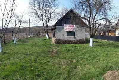 Teren de 3000 mp, în Dumbrăvița - 5