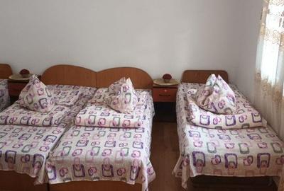 Casa 5 camere Rau Sadului - 14