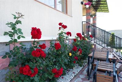 Vila P+E+M Sanpetru Teren 2400 Mp Vila P+E+M Sanpetru Teren 2400 Mp - 9