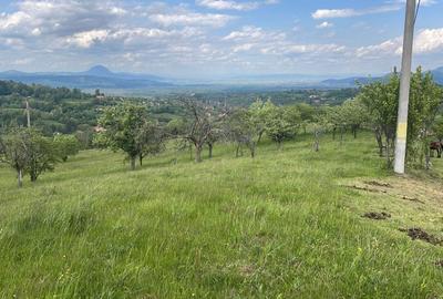 Teren Intravilan panoramic Bran, zona  Bradul Inalt - 6