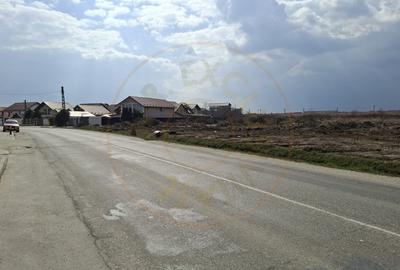 Teren Construcții intravilan de 488 mp, în Bradu - 2