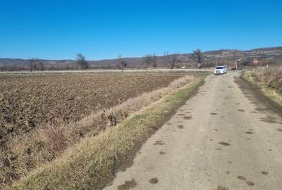 Spațiu comercial, în Pericei - 2