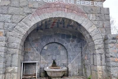 Spațiu comercial, de 2,000 mp, în Păniceni - 12