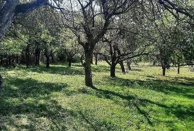 Teren de 1800 mp, în Breaza de Sus