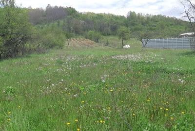 Teren de 3500 mp, în Ștefănești - 1
