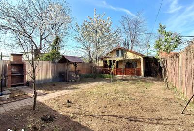 Teren de 202 mp, în Andronache - 13