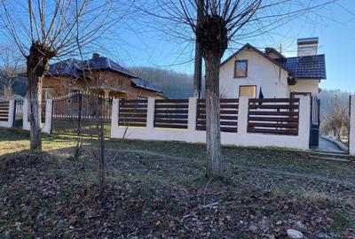 Casă cu 3 camere cu Teren 1008 Mp în Coșești - 8