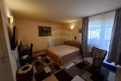 Casa / Vila cu 5 camere de vanzare in zona Brestei - 6