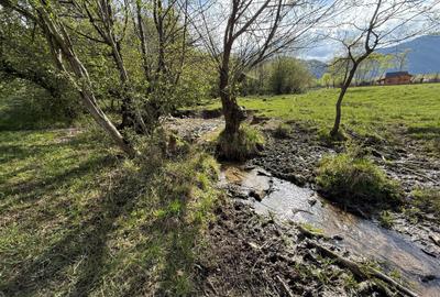 Teren Construcții intravilan de 500 mp, în Tohănița - 3