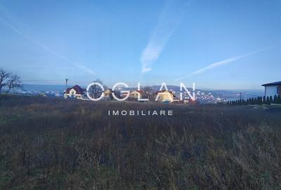 Teren Imprejmuit, la sosea (DN14)- SURA MARE - 6