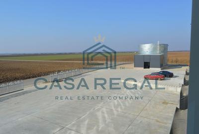 Hală industrială 7100mp – locație strategică - Biharia - zona metropolitană - 17