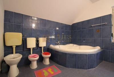 Casa in zona Lipovei,  ideala pentru activitati comerciale. - 35