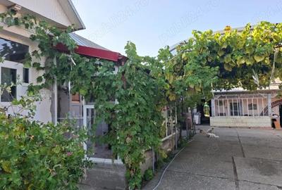 Gospodarie superba cu 3 dormitoare 2 bai si gradina - 10