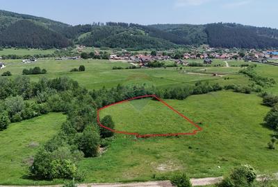 Teren Construcții intravilan de 2730 mp, în Plaiul Foii