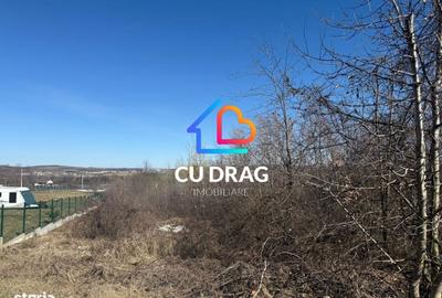 Spațiu comercial, în Sibiel - 1