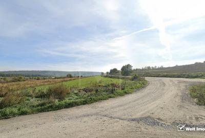 Teren Construcții intravilan de 7975 mp, în Sopor - 1