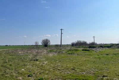 Teren Construcții intravilan de 5000 mp, în 1 Decembrie - 5