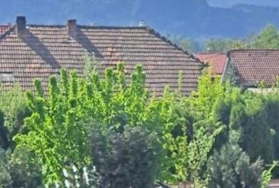 Vila deosebită  cu destinație multiplă - 17