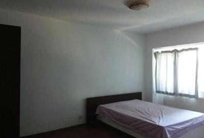 Garsoniera Aradului - 3