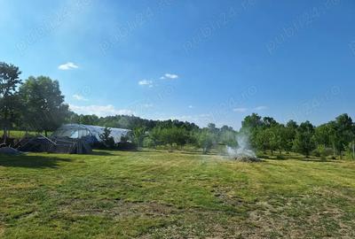 Vand casa de vacanta - 7